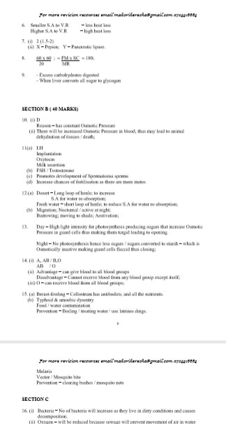 No preview available